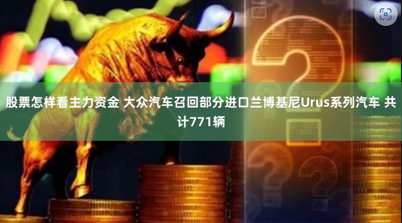 股票怎样看主力资金 大众汽车召回部分进口兰博基尼Urus系列汽车 共计771辆