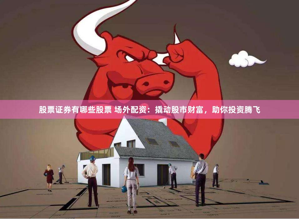 股票证券有哪些股票 场外配资：撬动股市财富，助你投资腾飞