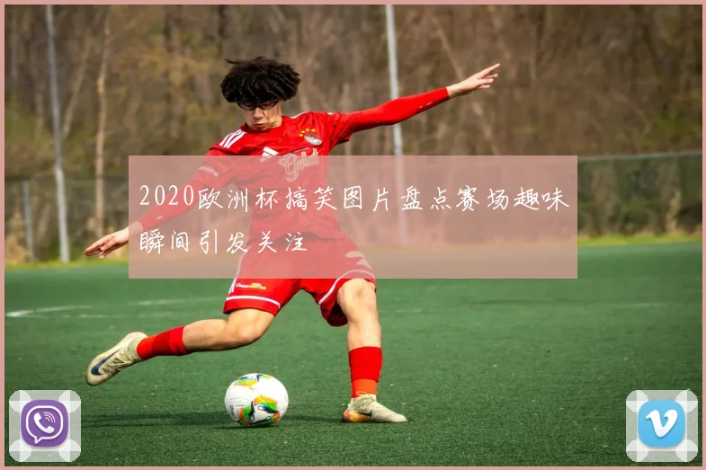 2020欧洲杯搞笑图片盘点赛场趣味瞬间引发关注