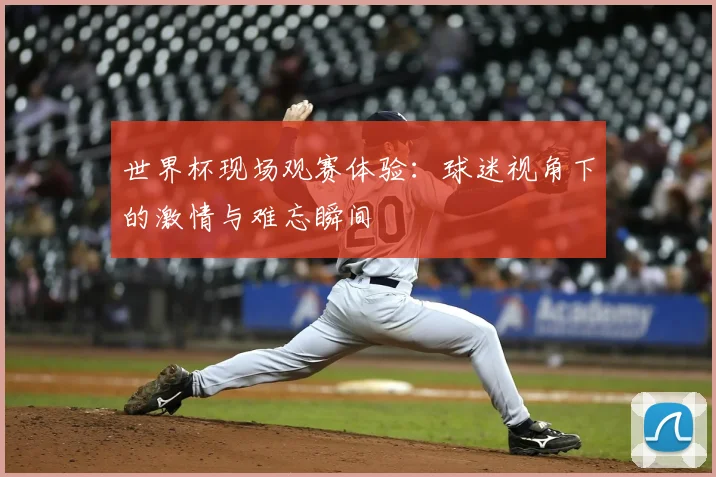 世界杯现场观赛体验:球迷视角下的激情与难忘瞬间