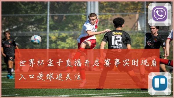 世界杯盒子直播开启 赛事实时观看入口受球迷关注