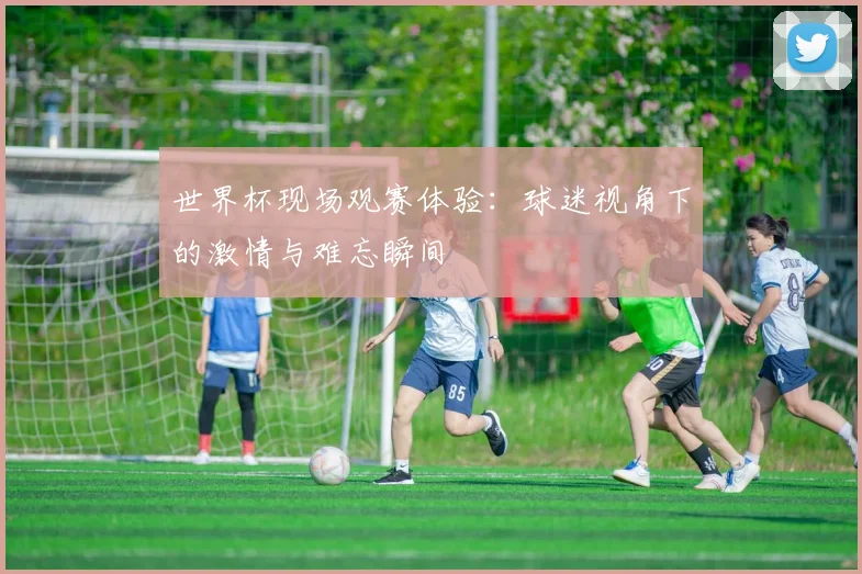 世界杯现场观赛体验:球迷视角下的激情与难忘瞬间