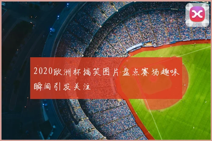 2020欧洲杯搞笑图片盘点赛场趣味瞬间引发关注