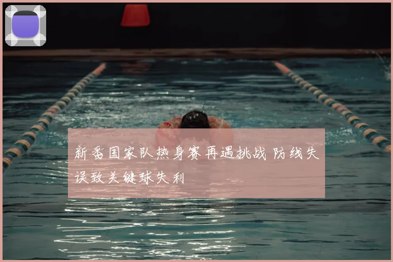 新番国家队热身赛再遇挑战 防线失误致关键球失利