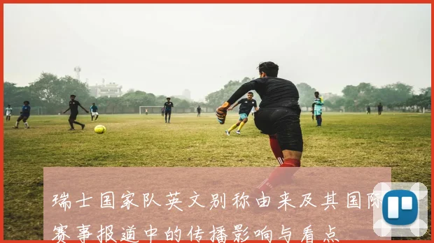 瑞士国家队英文别称由来及其国际赛事报道中的传播影响与看点