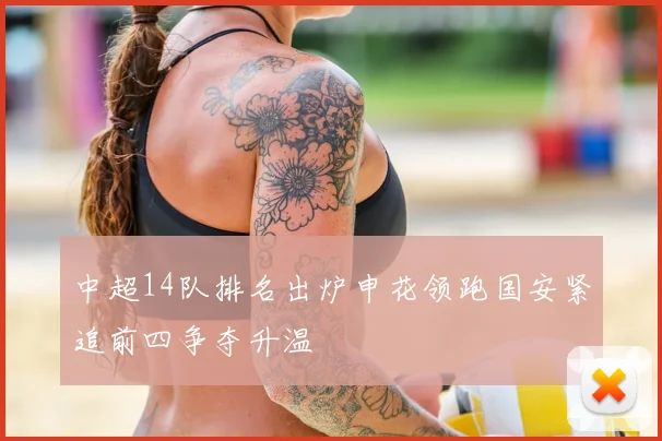 中超14队排名出炉申花领跑国安紧追前四争夺升温