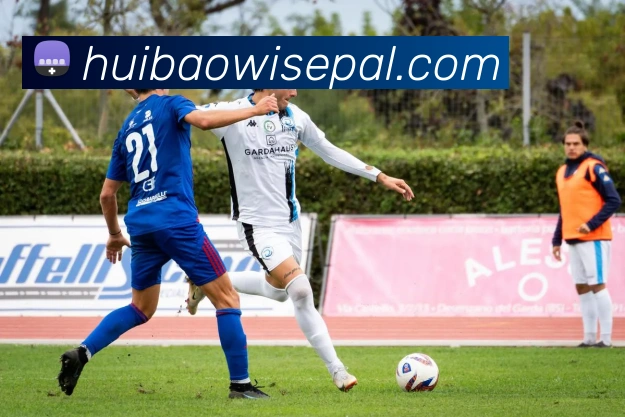 leyu网APP 体育赛事宣传图